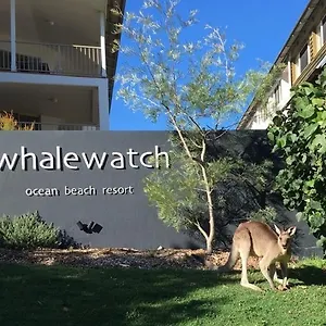 Whale Watch Ocean 4* Point Lookout