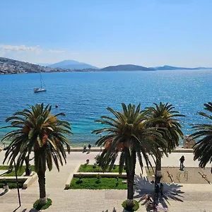 Pini Albanien
